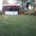 lawn grass installation fatima nagar