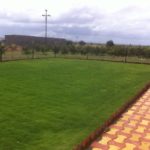 lawn grass pune